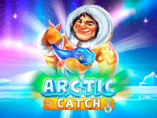 Arctic Catch game cover